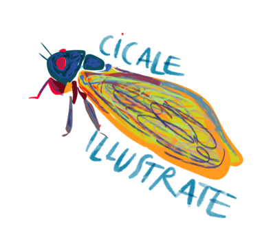 concorso artistico le cicale illustrate